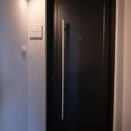 公寓 Anassa Maisonettes Lefkáda